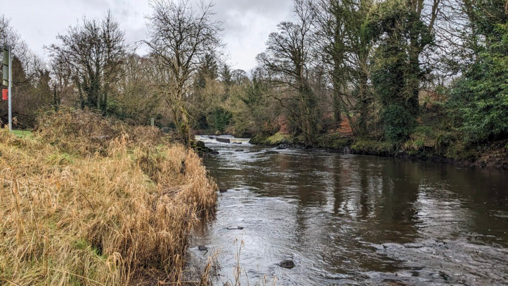 Mid river at Lovers Retreat Omagh looking east