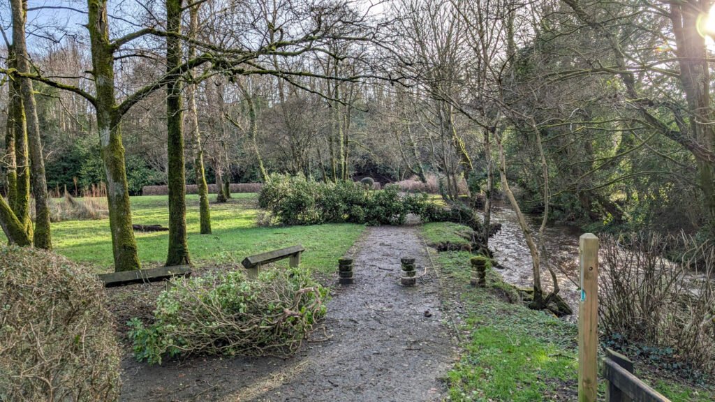 Tree fell down at Lovers Retreat Omagh during storm Eowyn