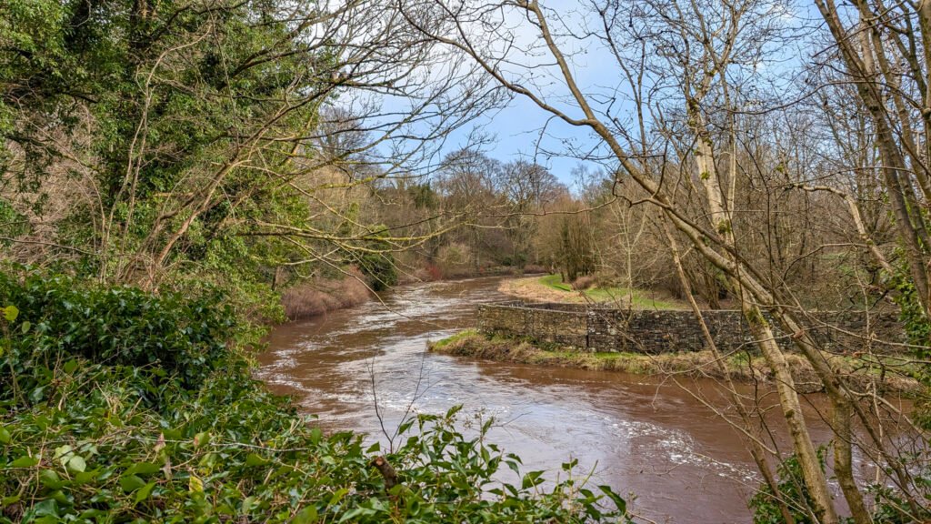 View of the river at Lovers Retreat Omagh