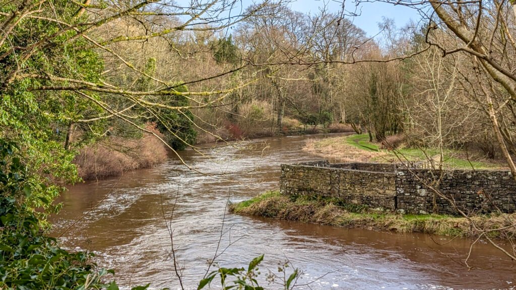 View of the river at Lover's Retreat Omagh