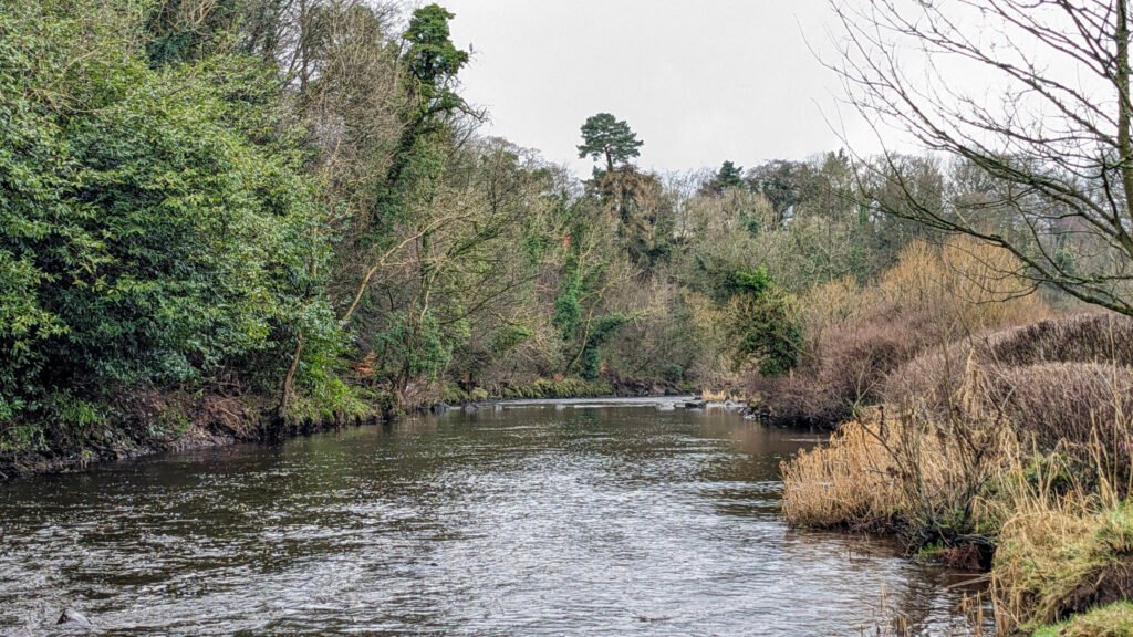 Mid river at Lovers Retreat Omagh looking west