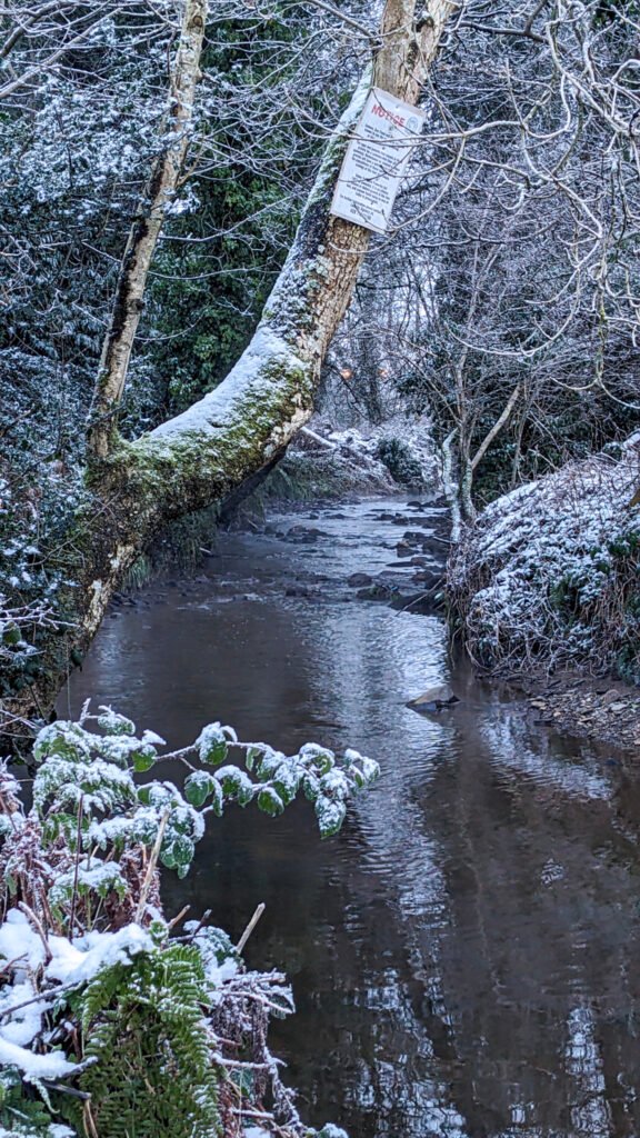 Lovers Retreat Stream from the footbridge covered in snow