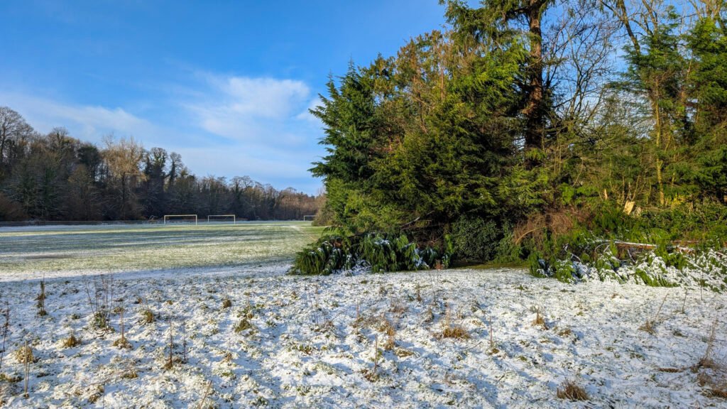Fallen trees at Donnelly's Holm football pitches in the snow in Omagh following Storm Eowyn
