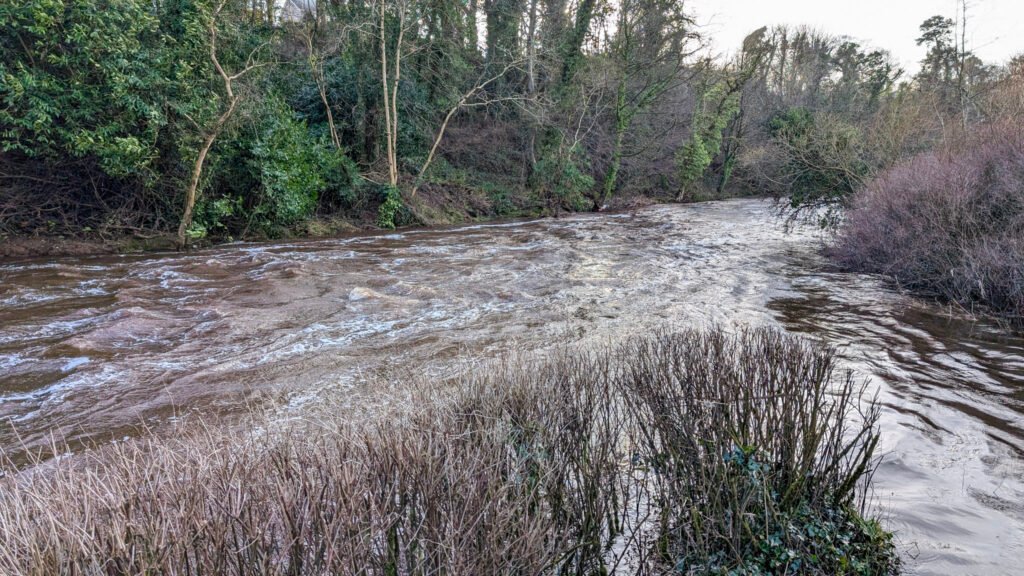 Mid river at Lovers Reteat, high water looking west