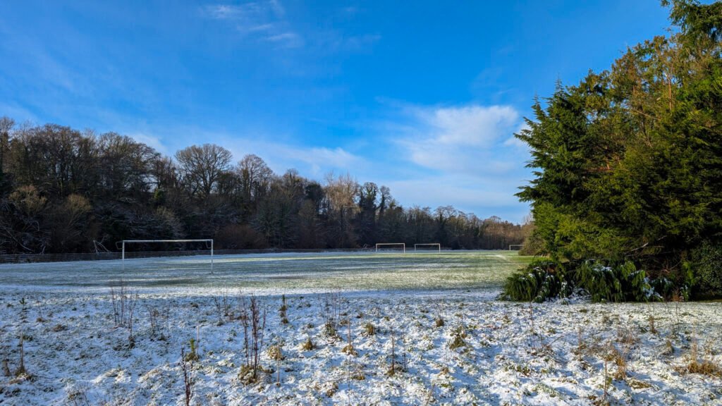 Fallen trees at Donnelly's Holm football pitches in the snow in Omagh following Storm Eowyn