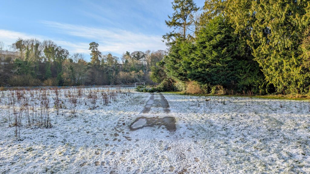Fallen trees at Donnelly's Holm football pitches in the snow in Omagh following Storm Eowyn